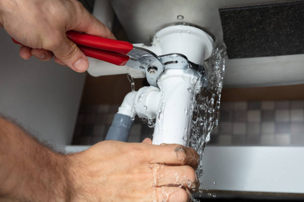 Best Sewage cleanup and water damage restoration  in Wauchula, FL