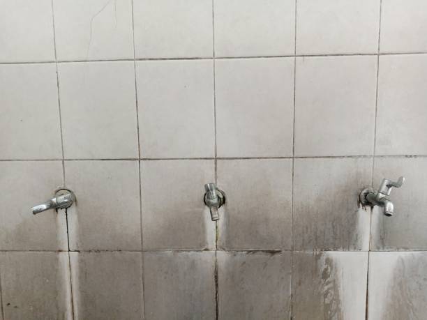 Best Basement water damage restoration  in Wauchula, FL