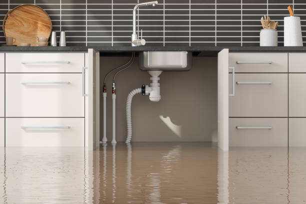 Best Ceiling water damage repair  in Wauchula, FL