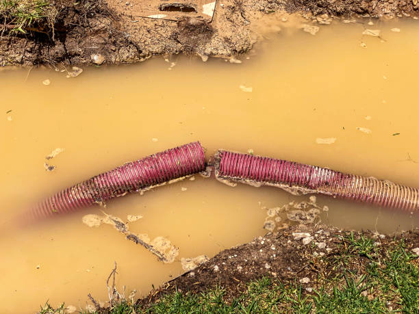 Local water damage restoration in Wauchula, FL