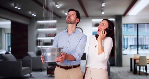 Best Flood damage cleanup  in Wauchula, FL